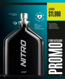 Catálogo Cyzone Página 107