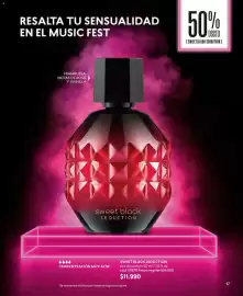 Catálogo Cyzone Página 17