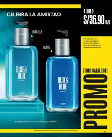 Catálogo Cyzone Página 107