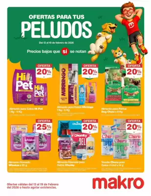 Catálogo Makro (válido hasta 19-02)