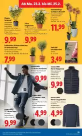 Lidl Flugblatt woche 8 Seite 27