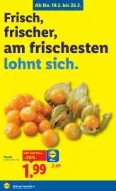Lidl Flugblatt woche 8 Seite 3