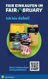Lidl Flugblatt woche 8 Seite 43