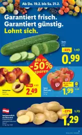 Lidl Flugblatt woche 8 Seite 5