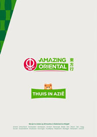 Amazing Oriëntal folder Pagina 44
