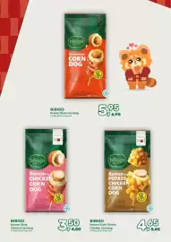 Amazing Oriëntal folder Pagina 2