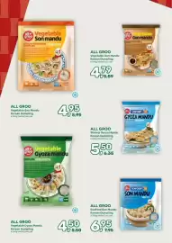 Amazing Oriëntal folder Pagina 4