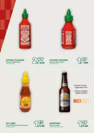 Amazing Oriëntal folder Pagina 6