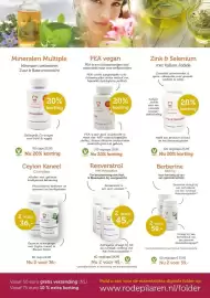 De Rode Pilaren folder Pagina 7