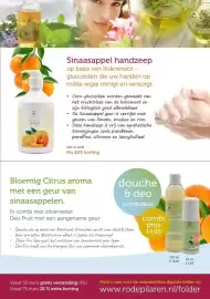 De Rode Pilaren folder Pagina 8