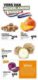 Ekoplaza folder week 8 Pagina 13