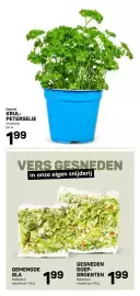 Ekoplaza folder week 8 Pagina 14