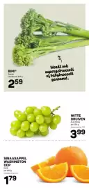 Ekoplaza folder week 8 Pagina 15