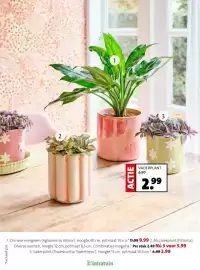 Intratuin folder week 8 Pagina 13