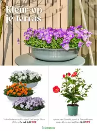 Intratuin folder week 8 Pagina 17