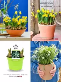 Intratuin folder week 8 Pagina 19