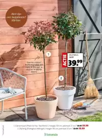 Intratuin folder week 8 Pagina 20