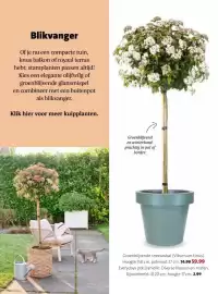 Intratuin folder week 8 Pagina 21