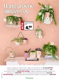 Intratuin folder week 8 Pagina 23