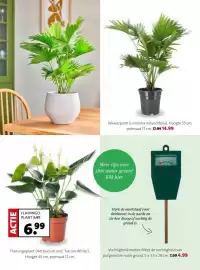 Intratuin folder week 8 Pagina 25