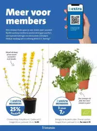 Intratuin folder week 8 Pagina 28