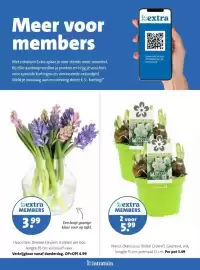 Intratuin folder week 8 Pagina 29