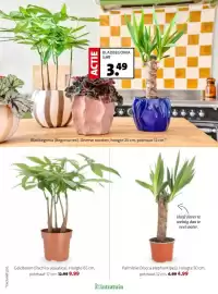 Intratuin folder week 8 Pagina 4