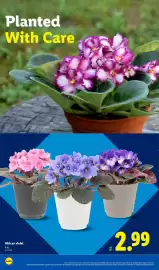 Lidl weekly ad week 8 Page 20