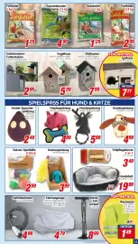 CENTERSHOP Prospekt woche 8 Seite 11