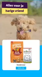 Plein.nl folder Pagina 13