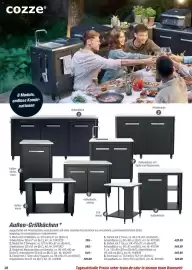 Toom Baumarkt Prospekt Seite 36