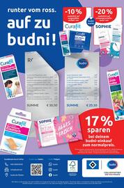 Budni Prospekt woche 9 Seite 8