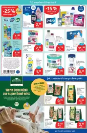 Budni Prospekt woche 9 Seite 4