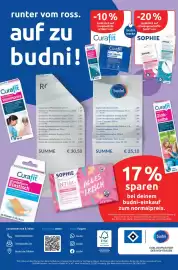 Budni Prospekt woche 9 Seite 8