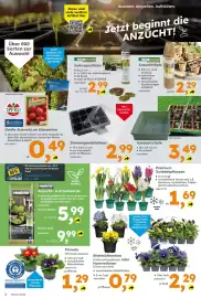 Globus Baumarkt Prospekt woche 8 Seite 2