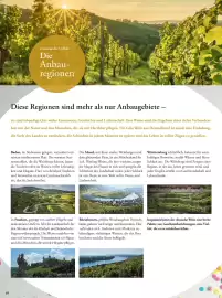 Tegut Prospekt woche 8 Seite 20