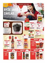 Globus leták týden 8 Strana 13