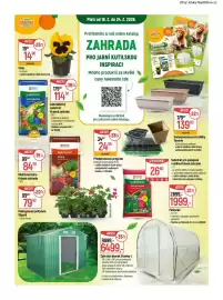 Globus leták týden 8 Strana 17