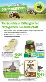 Scheck-in-Center Prospekt woche 8 Seite 37