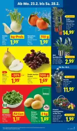 Lidl Prospekt woche 9 Seite 5