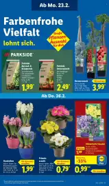 Lidl Prospekt woche 9 Seite 57