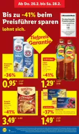 Lidl Prospekt woche 9 Seite 60