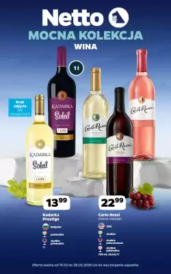 Netto gazetka (ważność do 28-02)