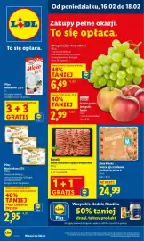 Lidl gazetka Strona 1