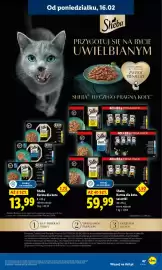 Lidl gazetka Strona 47