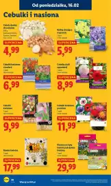 Lidl gazetka Strona 48
