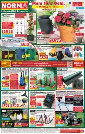 Norma Prospekt woche 9 Seite 1