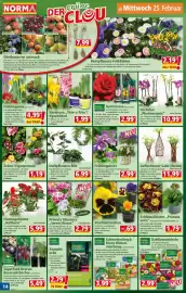 Norma Prospekt woche 9 Seite 14