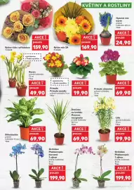 Kaufland leták týden 8 Strana 7