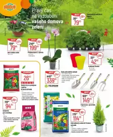 Globus leták Strana 2